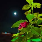 karinaseth - @shygirl_tanu179 - Instagram