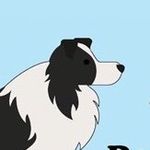 Karina Simpson - @pupperwalkies_ - Instagram