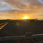 Karina Thompson - @hillside_stables_creaton - Instagram