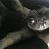 tóth karina - @tothkarina0 - TikTok