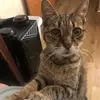 Karina Turner - @karina.townsend - TikTok
