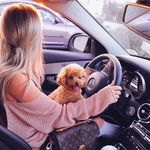 👌🏻❤️🦄Карина👌🏻 - @_karina_wolf___ - Instagram