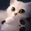 karisa.jackson - @karisa.jackson - TikTok