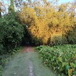 karishma_____ray______968 - @karishma___ray___968 - Instagram