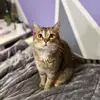 Karissa - @karissaatkinson74 - TikTok