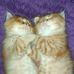 Bundy Karina Puspa Syantix - Facebook