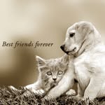 my life my way - @karissabutler13 - Instagram