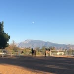 Karissa Cook - @big_oaks_ranch - Instagram