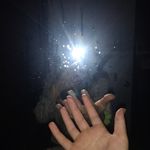 Karissa K. Cooper - @karissa_k_cooper_ - Instagram