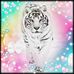 Karissa Ferrell - Facebook