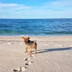 Charissa Plummer - Facebook