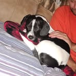 Karissa Pratt - Facebook