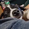 Karissa Pratt - @karissa.pratt - TikTok
