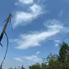 Karissa - @karissarobinson8 - TikTok