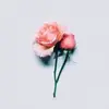 karissa.wright65 - @disskay - TikTok