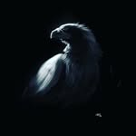 Karl Adler - @carolusadler - Instagram