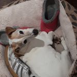 Karl Atkinson - @karl.atkinson.16 - Instagram