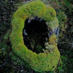 Karl Bachmann - @karl.bachmann.146 - Instagram