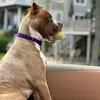 KARL BEACH - @karl.beach8 - TikTok