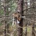 Carl Beatty - Facebook