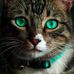 Carl Beatty - Facebook