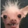 Karl_berta - @karl_berta - TikTok