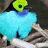 Karl Betts - @karlbetts0 - TikTok