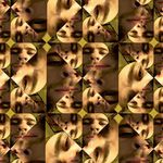 Karl Bird - @karl.bird - Instagram