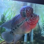 Karl Blake - @karl.blake.5264 - Instagram