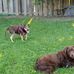 Carl Blumer - Facebook