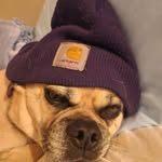 Karl Bob - @karl.bob.9 - Instagram