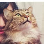 Karl Oskar - @karlbobtail - Instagram