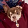 karl.bobo - @karl.bobo.official - TikTok