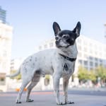 Carl von Bollinger - @carl_von_bollinger - Instagram