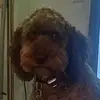 karlbolt2 - @karlbolt2 - TikTok