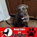 Karl Boss - Facebook