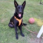 Karl Bower - @bower_karl - Instagram