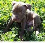 Karl Boyer - @karl.boyer.391 - Instagram