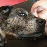 Karl Adam - @karlbright74 - Instagram