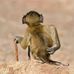 Carl Bronkhorst - Facebook