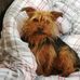Karl Broughton - Facebook
