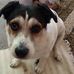 Carl Bruno - Facebook
