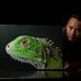 Karl Bruno - Facebook