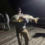 Karl Bruno - @karlbrunoo56 - Instagram