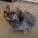 Karl Lloyd-Buckingham - @karl.buckingham.52 - Instagram