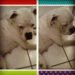 Karl Byrd - @crispmanhehe - Instagram