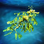 Karl Byrd - @milkroces - Instagram