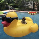 Karl Calhoun - @the.life.of.karlito - Instagram