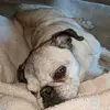 Karl Cam - @karl.cam7 - TikTok