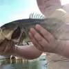karlcam1719 - @fishingwithkarl - TikTok